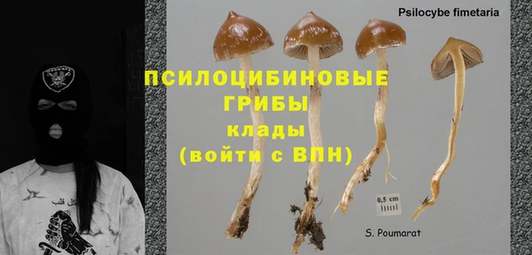 2c-b Балахна
