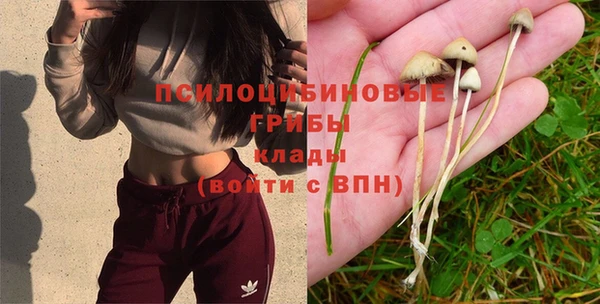 прущие крисы Баксан