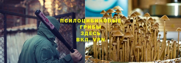 прущие крисы Баксан