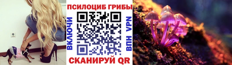маркетплейс как зайти  Лагань  Галлюциногенные грибы MAGIC MUSHROOMS  наркошоп 